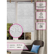 Ролл-шторы День-ночь (Зебра) С серебряным узором  (Арт. 1502-013)